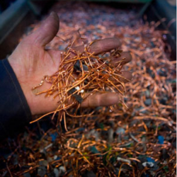 copper_wire_buyer_scrap_electrical_wire_buyer_039