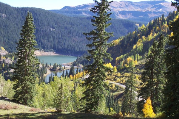 Rifle         Colorado         Valve Buyers