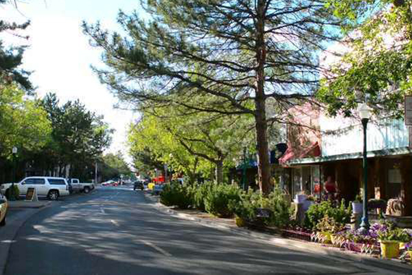 Twin Falls Idaho Valve Buyers