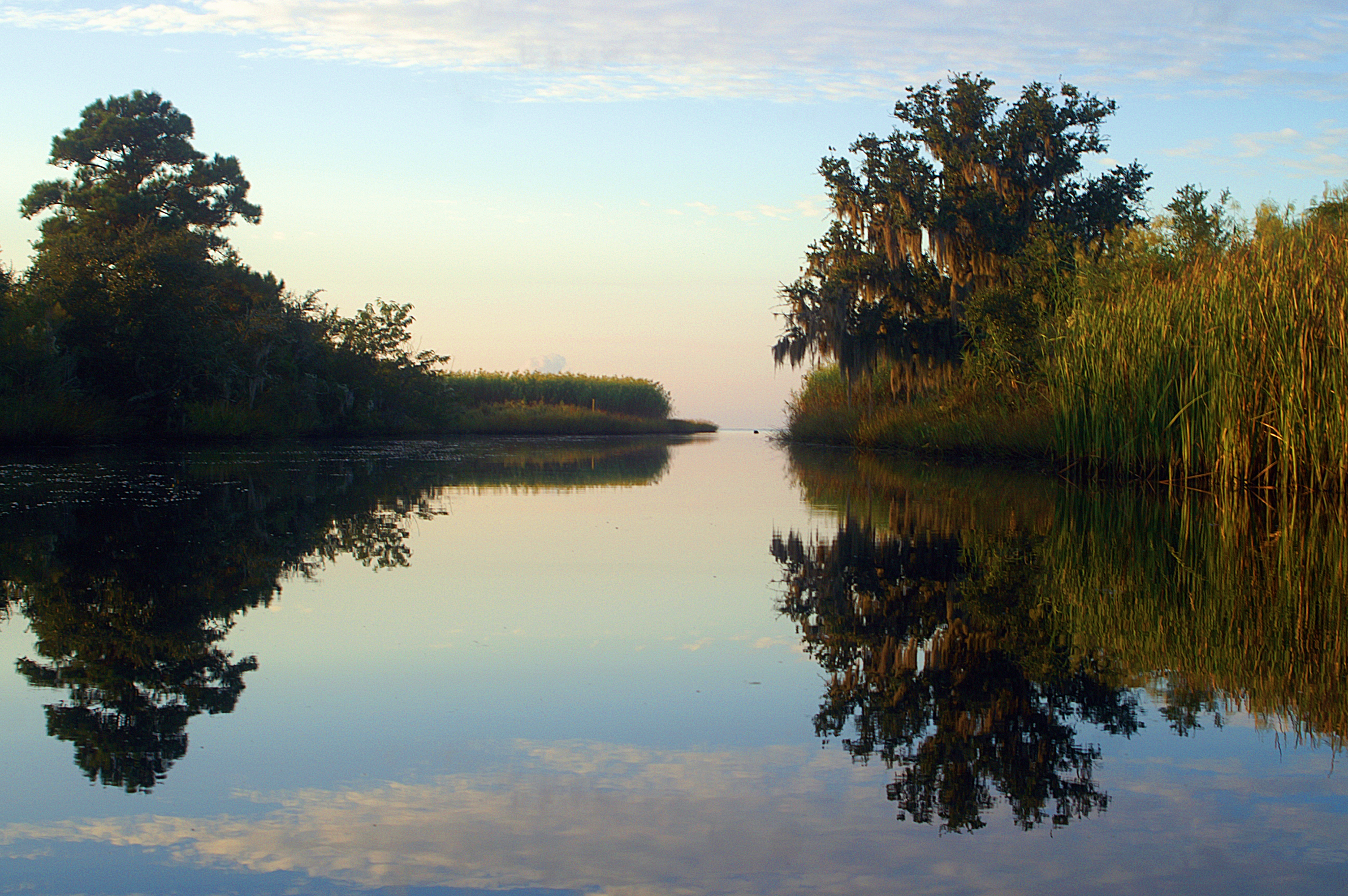 Bayou Cane Louisiana Copper Wire Buyers