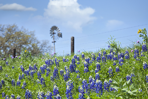 Brazosport Texas Copper Wire Buyers