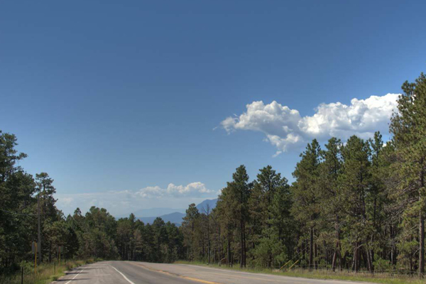 Black Forest Peyton Colorado Copper Wire Buyers