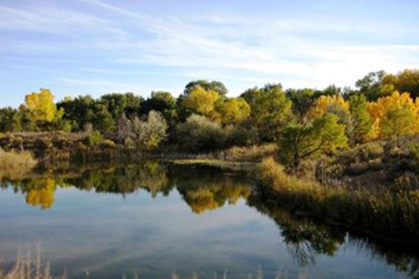 St Charles Mesa Colorado Copper Wire Buyers